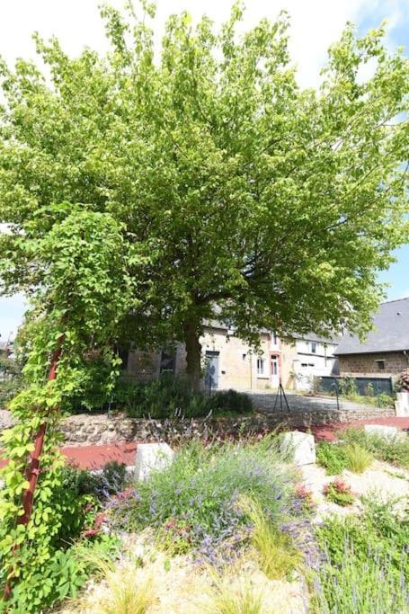 Apartamento Aupres De Mon Arbre Pontmain Exterior foto